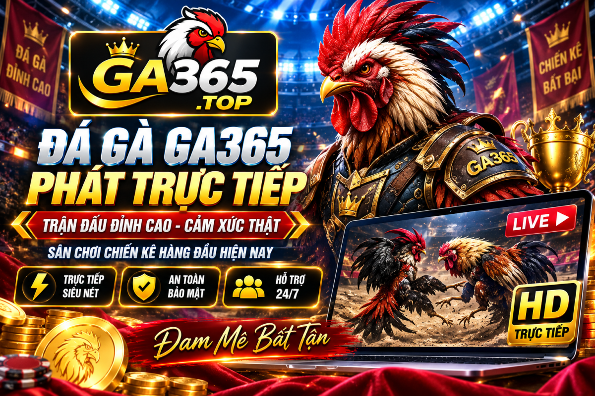 Hình ảnh trực tiếp đá gà GA365.TOP với giao diện sắc nét và dễ theo dõi